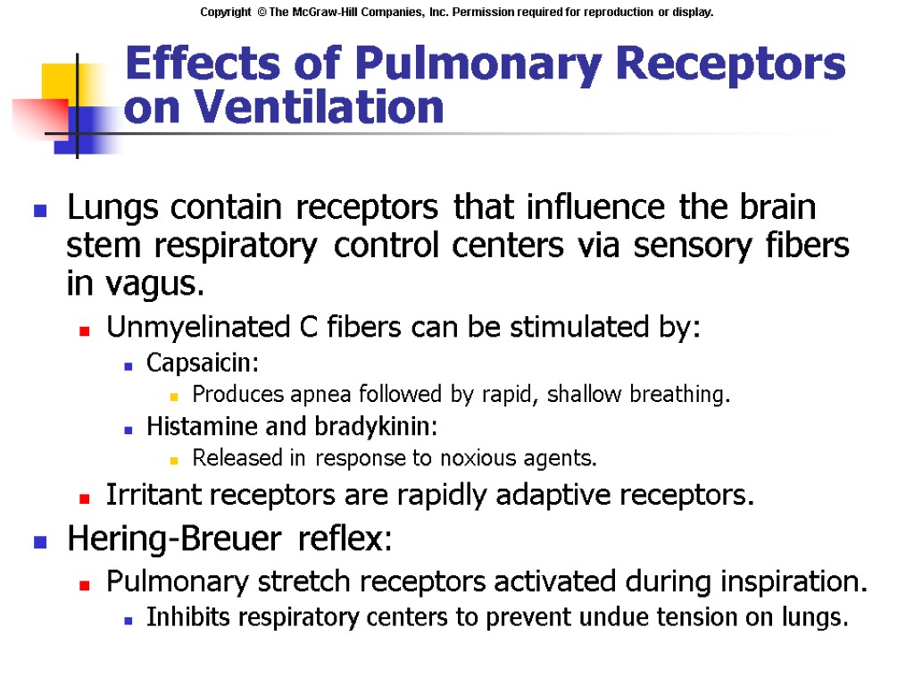 Effects of Pulmonary Receptors on Ventilation Lungs contain receptors that influence the brain stem
